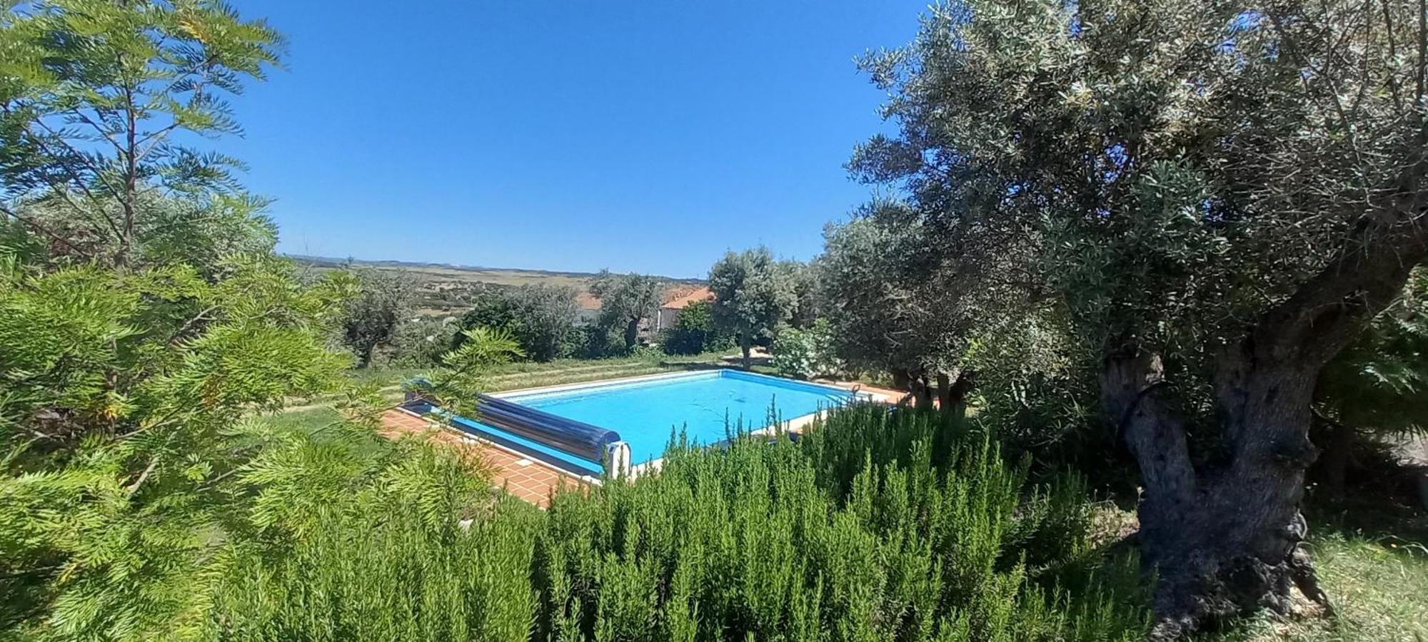בית הארחה Casa De Terena מראה חיצוני תמונה