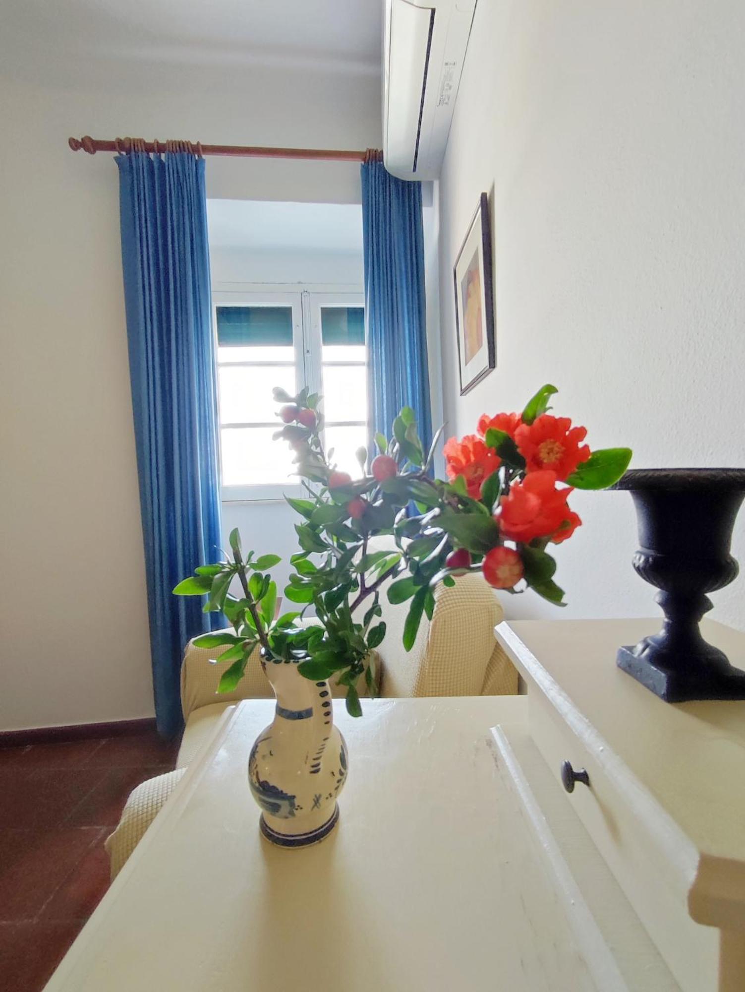 בית הארחה Casa De Terena מראה חיצוני תמונה